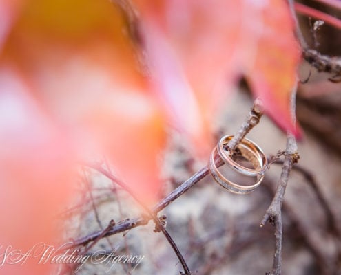 Wedding Rings