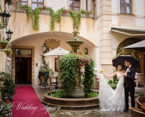 Marina & Serge in Dobris Castle