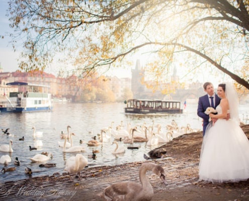 Wedding in Baroque Refektory