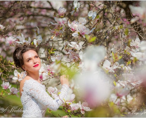 Wedding in the Hluboka Castle