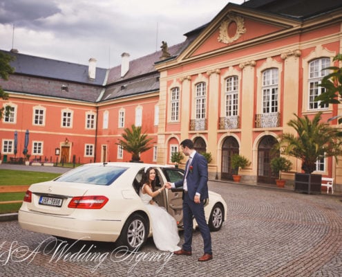 Wedding in the Dobris Castle