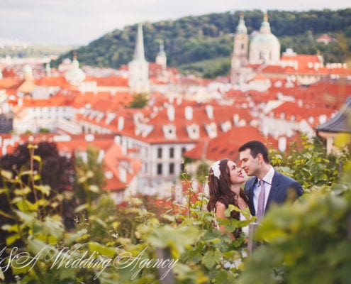 Wedding in the Dobris Castle