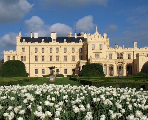 Wedding in the Lednice Castle