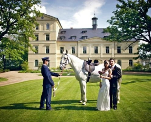 Wedding in the Chateau Mcely